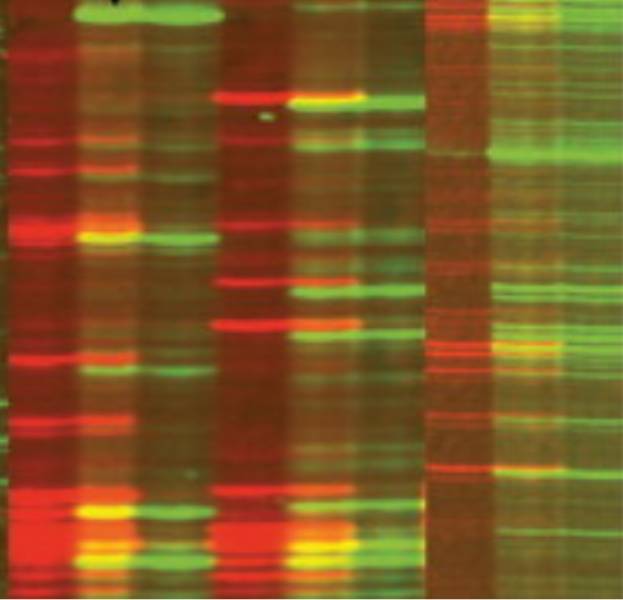 Biomarkers