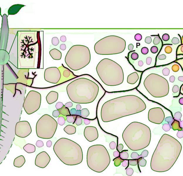 Biomarkers